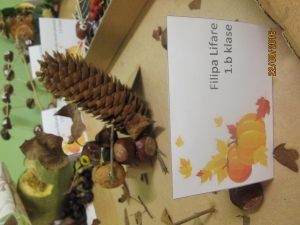 J.Pilsudska Daugavpils valsts poļu ģimnāzija